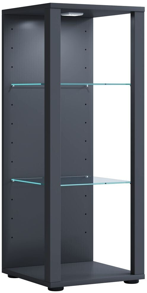 VCM Collective display case glass display stand display Glasol M 35x90x35 cm anthracite (918776)