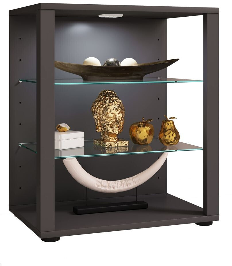 VCM Collective display case glass display case L 90x70x35 cm anthracite (56-918778)