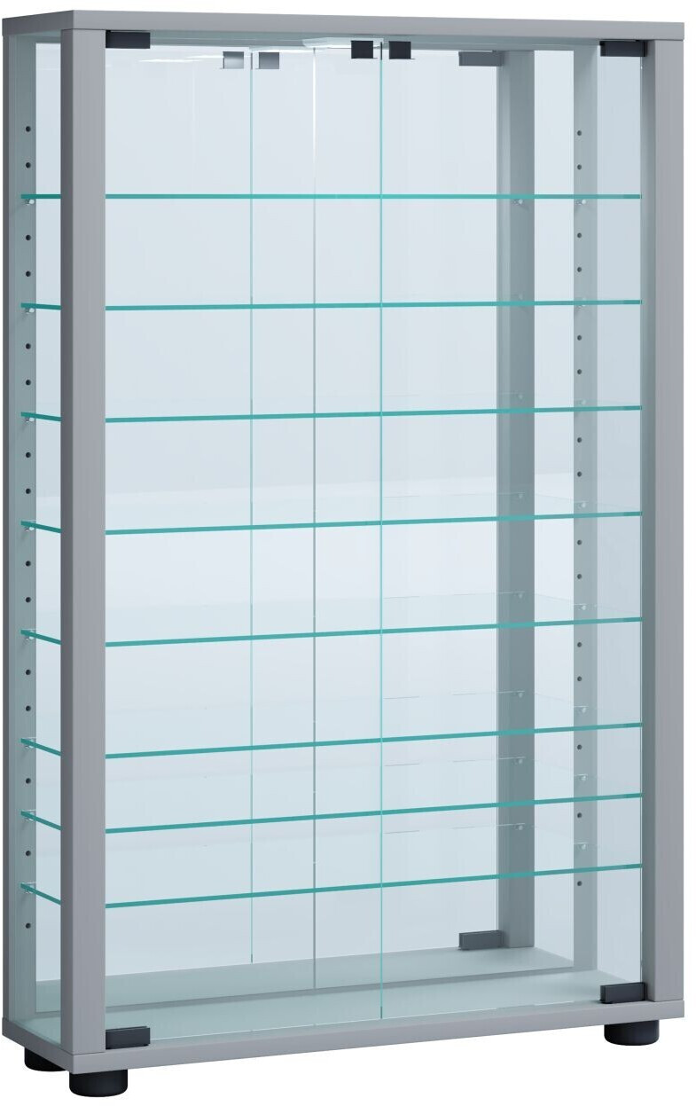 VCM Showcase Vitrosa 59x91.3 cm wood/glass silver (917715)