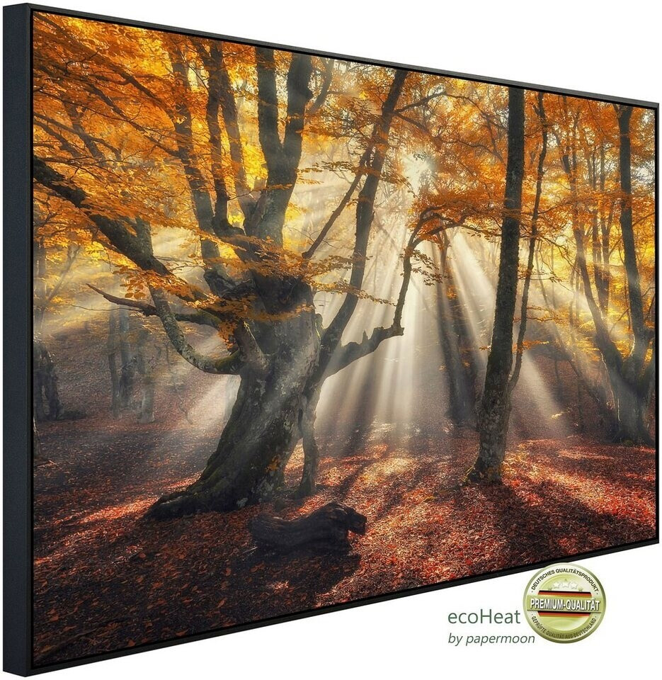 papermoon Infrarot-Bildheizkörper Magische alte Bäume (100 x 60 cm, 600 W)