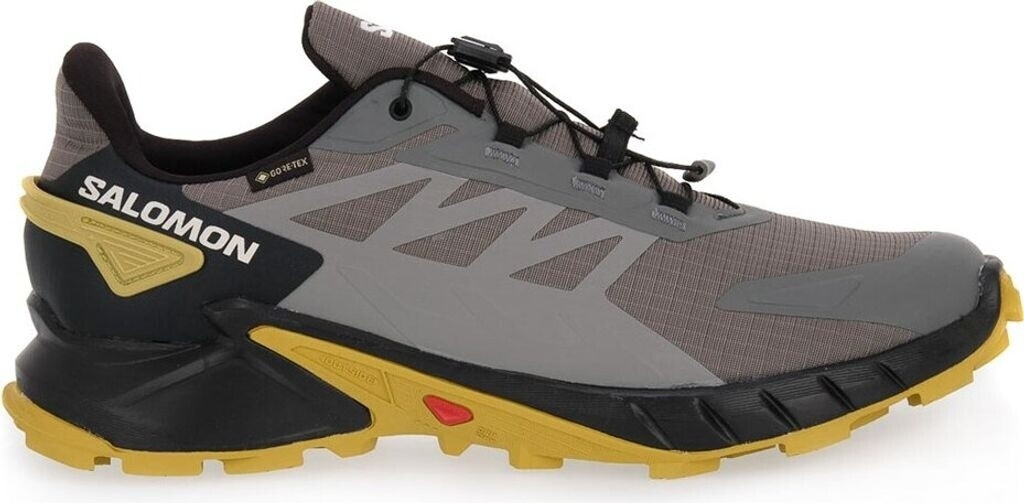 Salomon Supercross 4 Gore-Tex pewter/black/cress green