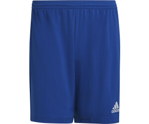 Adidas Herren Entrada 22 Shorts ab 6 92 Preisvergleich bei idealo