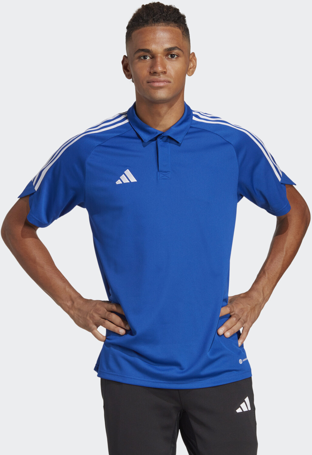 Adidas Tiro 23 League Poloshirt Royal blue (IC7859)