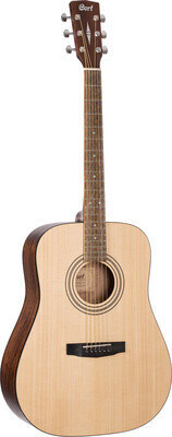 Cort Earth60 Open Pore