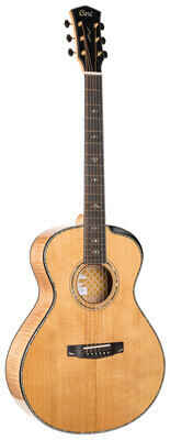 Cort Gold Passion