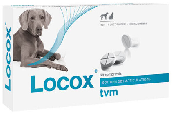 tvm Locox 30 comprimés