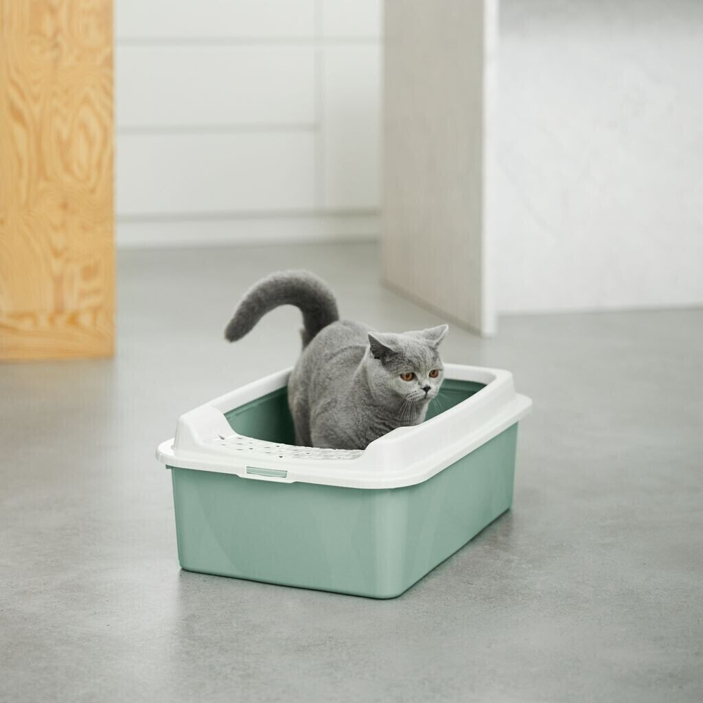 Rotho mypet Bac à litière pour chat 4004705092 Rotho mypet Bac à litière pour chat 4004705092
