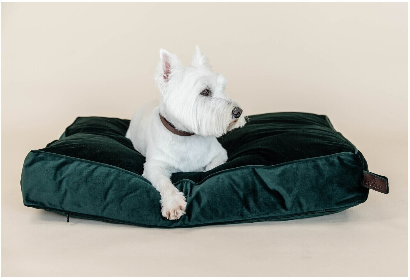 Kentucky Coussin pour chien Kentucky Coussin pour chien