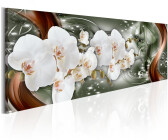 Wandbild Orchidee (2024) bei günstig Jetzt idealo | Preisvergleich kaufen