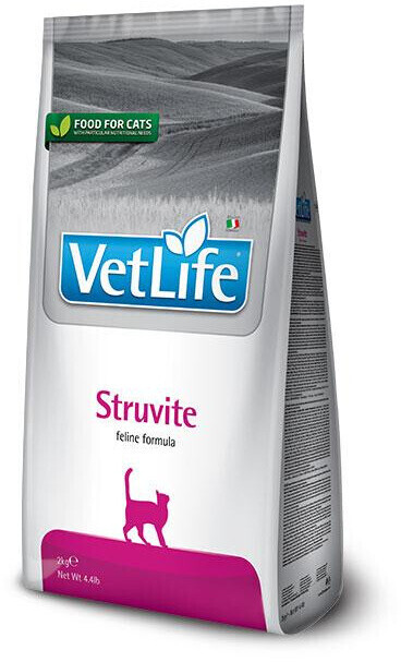 Urinary struvite feline top