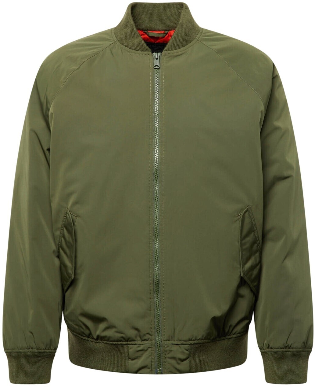 Levi's Filbert (A4418) thyme