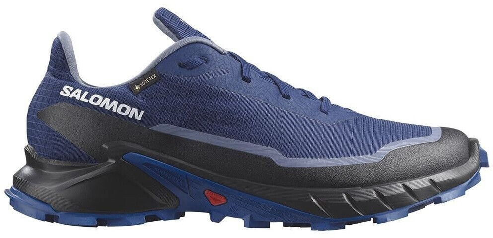 Alpha cross gtx salomon discount