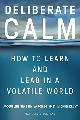 Deliberate Calm: How to Learn and Lead in a Volatile World (Jacqueline Brassey) (ISBN: 9780063208964)