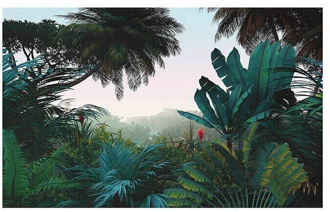 Komar Jungle Morning (400 x 250 cm)