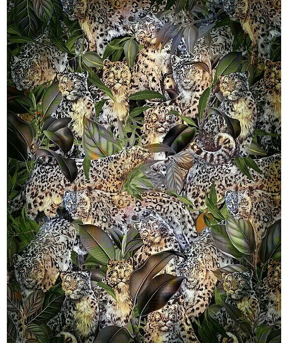 Komar Home Wild Cats (200 x 250 cm)
