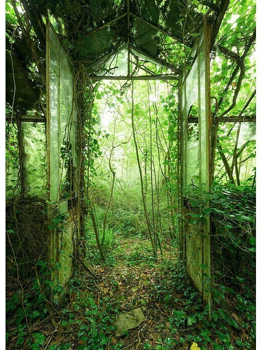 Komar Stefan Hefele Edition 2 Greenhouse (4 pcs. 200 x 280 cm)