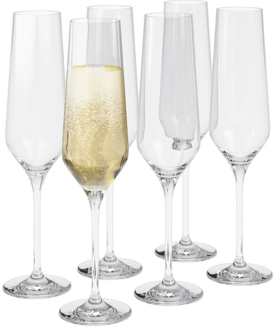 Eva solo Legio Nova champagne glass 26cl pack of 6
