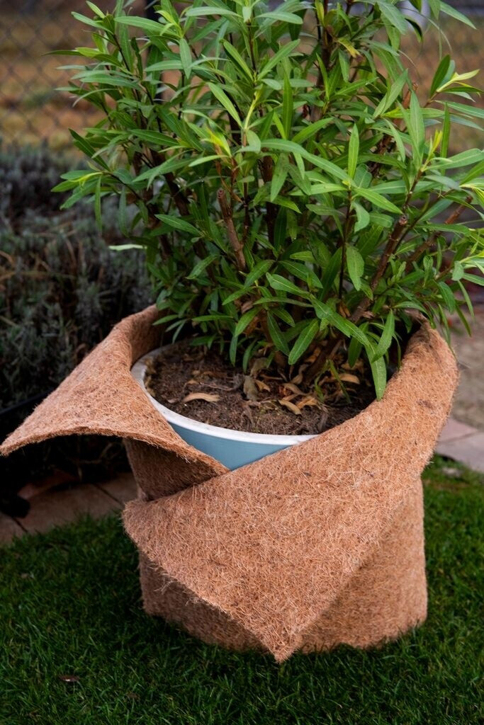 MC.Sammler MC.Sammler Kokosmatte 25cm x 10m 7mm - detail view