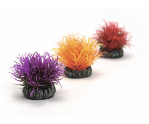 biOrb Gewächsball Set 3 bunt (46061)