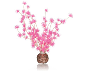 biOrb Bonsai Ball pink (55067)