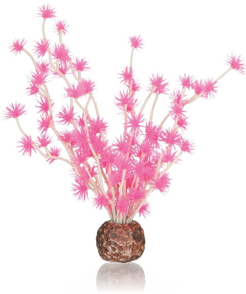biOrb Bonsai Ball pink (55067)