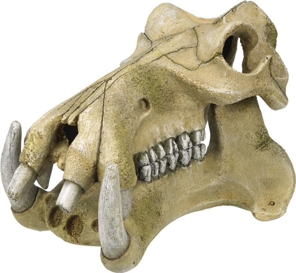 Nobby Aqua Ornaments (28668)