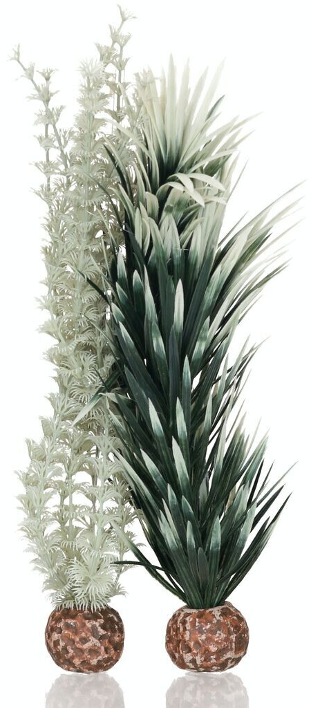 biOrb Ambulia grau/grün M (55071)