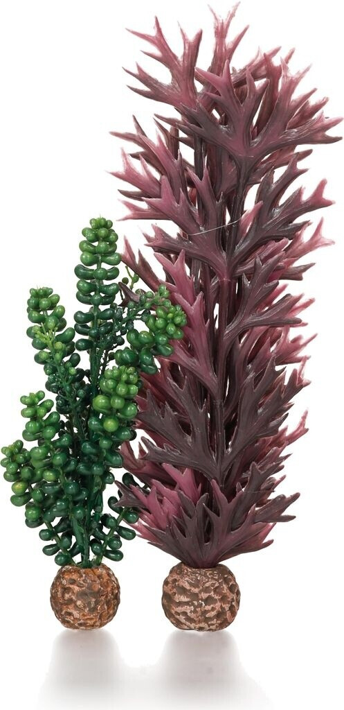 biOrb Seeperlen & Seetang olivgrün (55073)