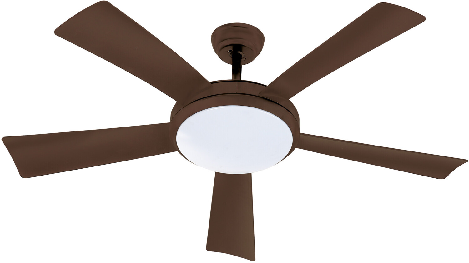 Far Elek Wallis chocolat 38 W