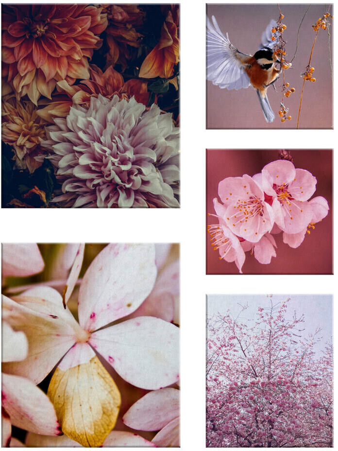 Art for the home 105698
