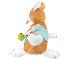 Buy Fisher Price 3 in 1 Puppy Tummy Wedge from 20.00 Today