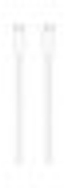 Apple 240W USB‑C Ladekabel 2m, Bild 9