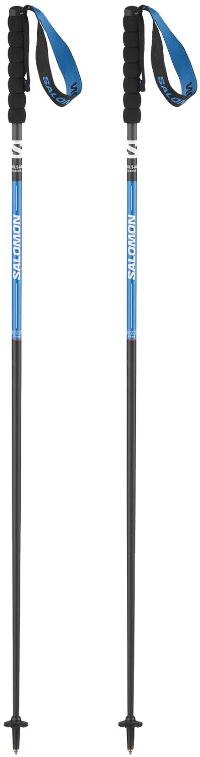 Salomon Pulsar Carbon Poles transparent