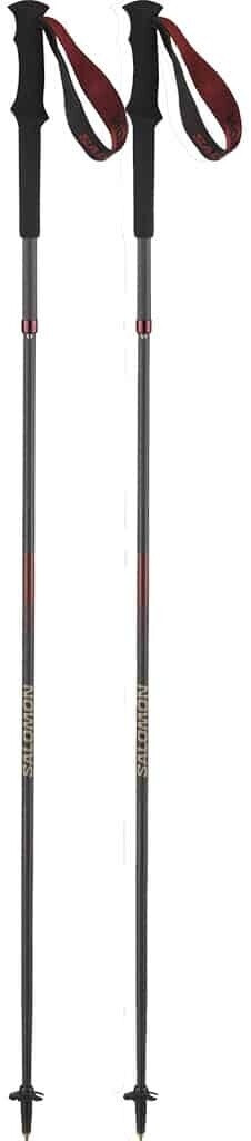 Salomon Quest Carbon Foldable Poles Silver