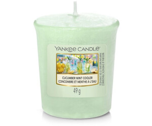 Giara Grande Cinnamon Stick Yankee Candle – Mondo Verde Garden