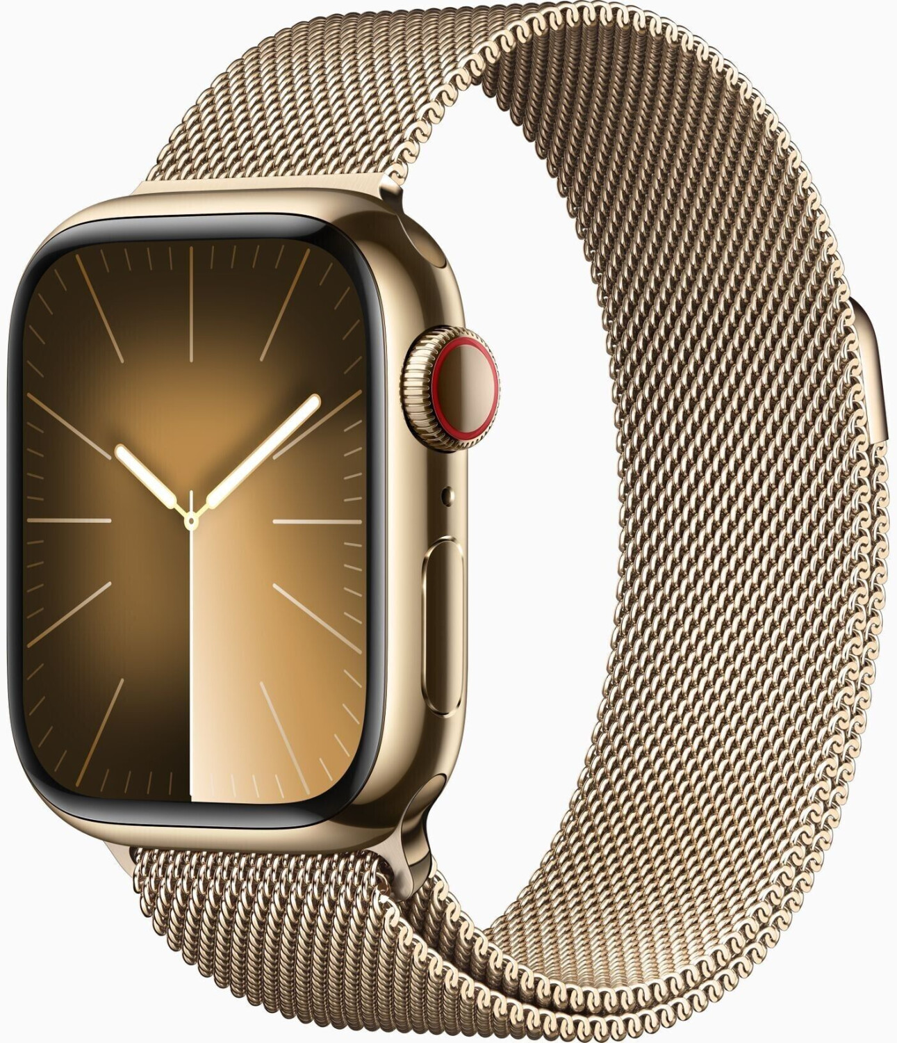 Apple watch clearance acier inoxydable