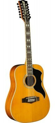 Eko Music Guitars 06217129 Ranger VR XIII