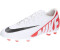 Nike Mercurial Vapor 15 Club FG/MG (DJ5963) bright crimson/black/white