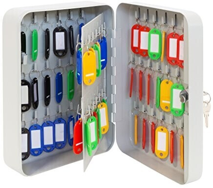 Arregui Key box lockable with 60 hooks 25x18x8 cm light gray (PLL60)