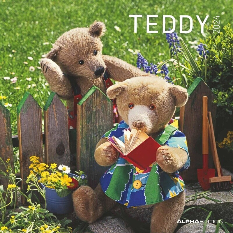 Alpha Edition Teddy 2024 Broschürenkalender 30x60cm Geöffnet ab 3,50 €