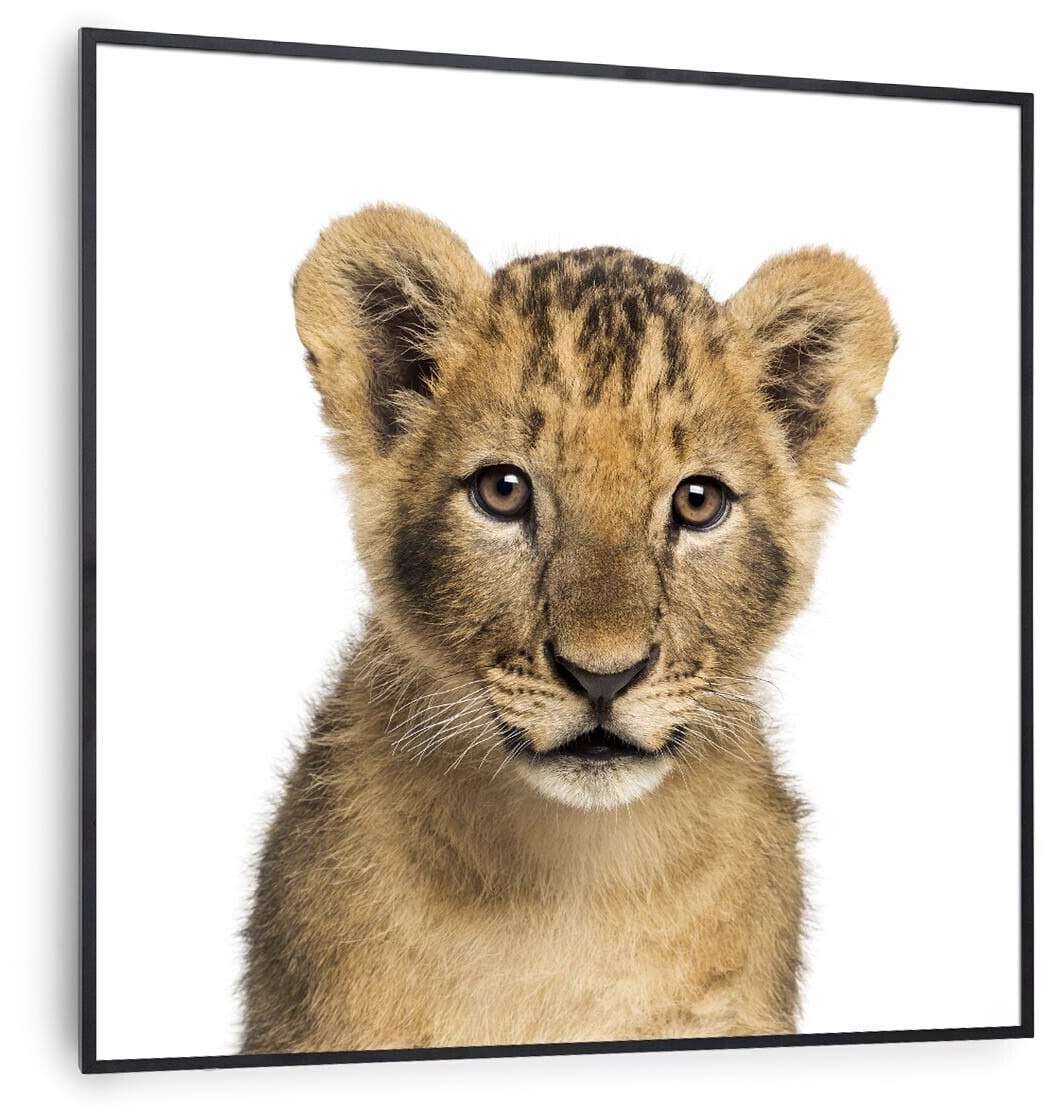 Klarstein Wonderwall Air Art Smart Lion (noir) 60 x 60 cm