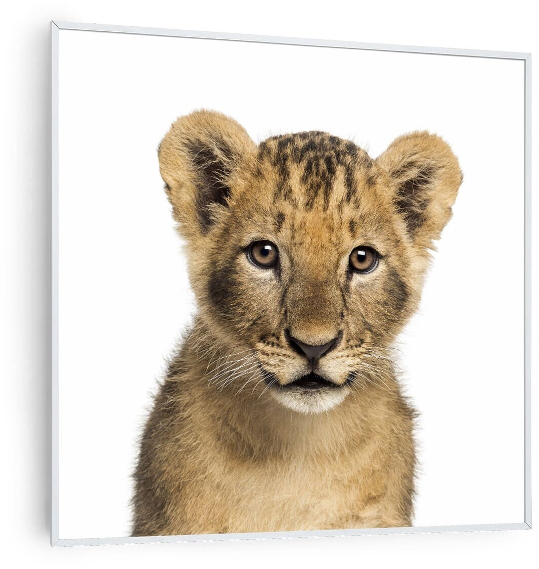 Klarstein Wonderwall Air Art Smart Lion 60 x 60 cm