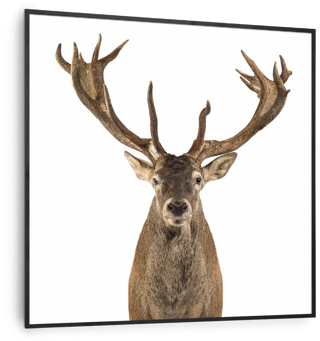 Klarstein Wonderwall Air Art Smart Cerf (noir) 60 x 60 cm