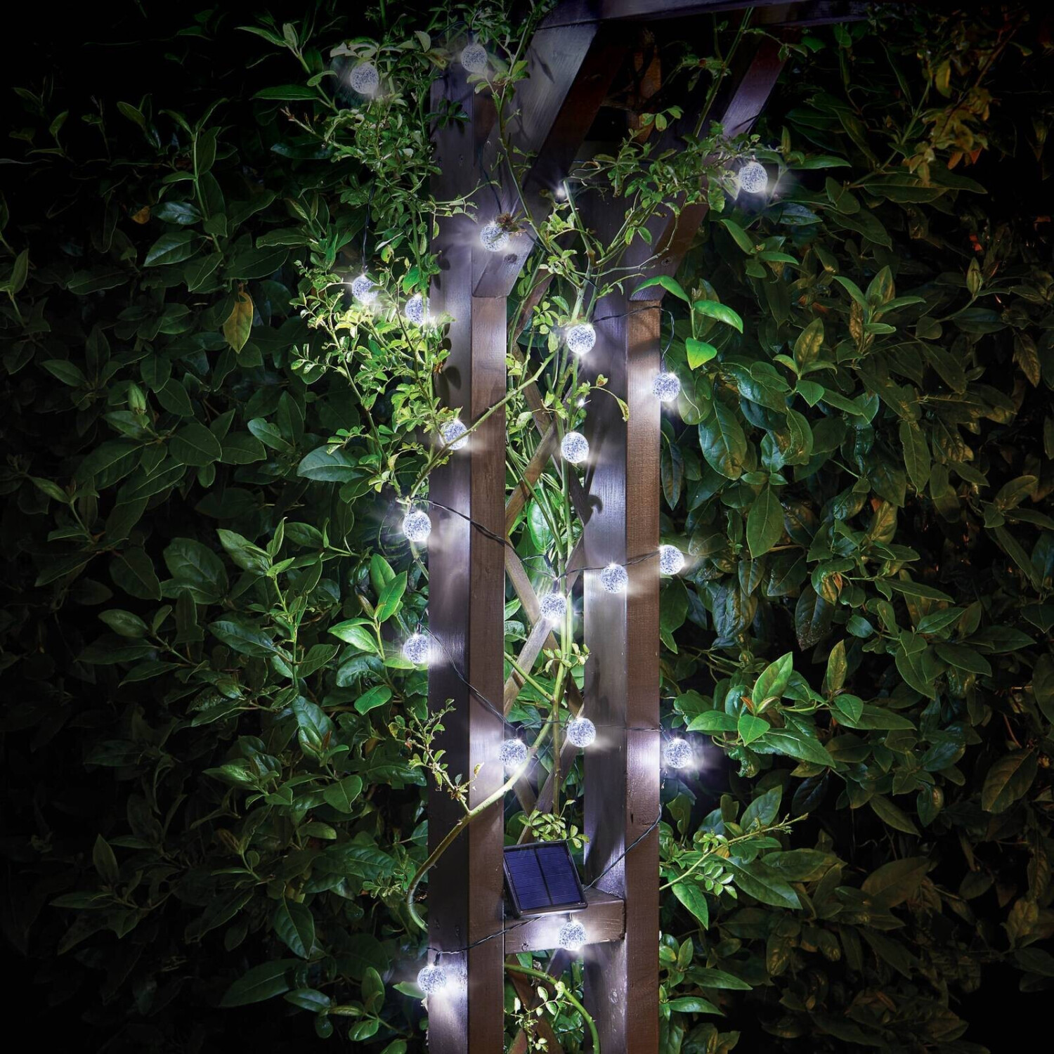 Smart Garden Products LED solar fairy lights Super Bright length 21.80 m