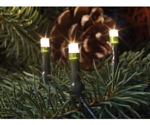 FHS LED-Lichterkette 400 warmweiße LED & 40 10 24,99 Kabel Innen Außen Außen bei m | Lampenabstand dunkelgrünes Preisvergleich € & cm Innen ab