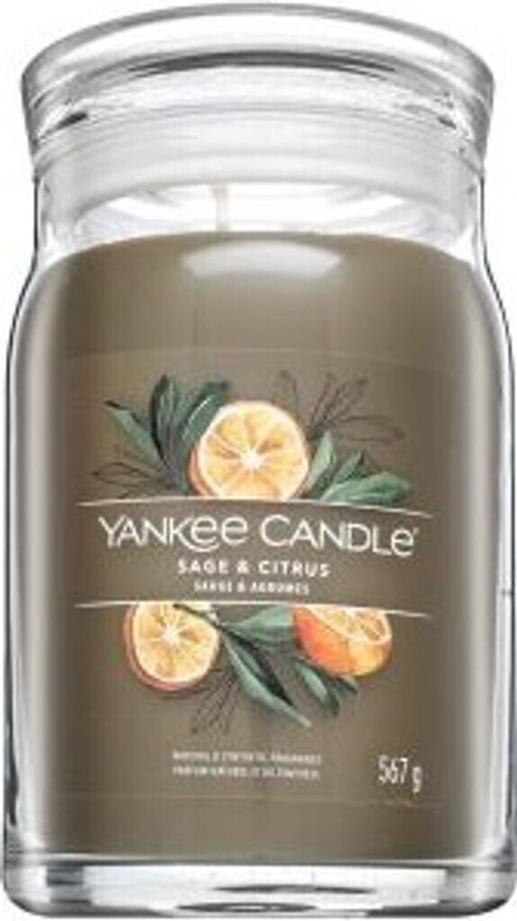 Yankee Candle Sage & Citrus Signature 567g