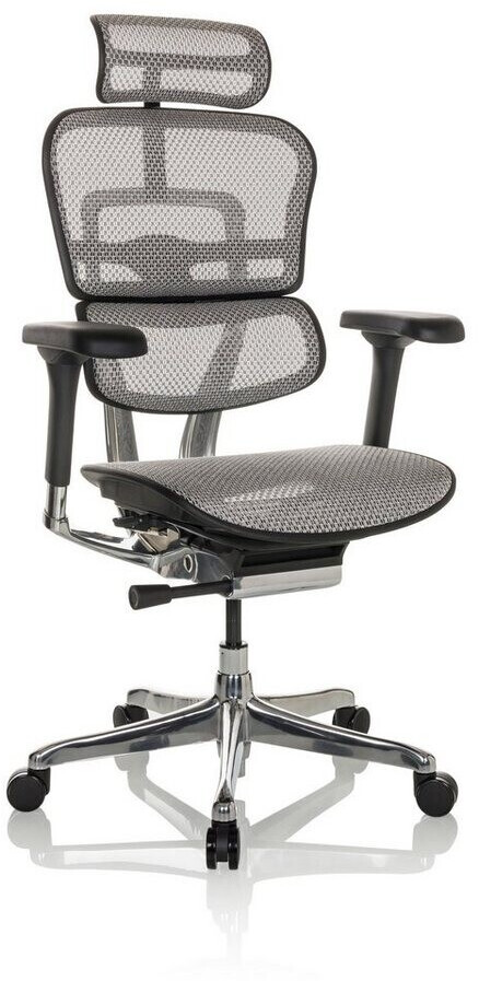 HJH Office Ergohuman Light Grey