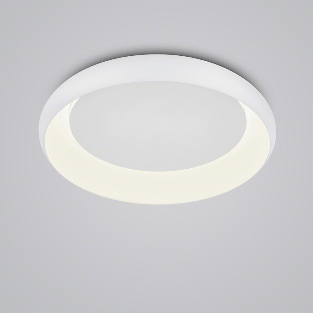 Helestra 8-5067.07