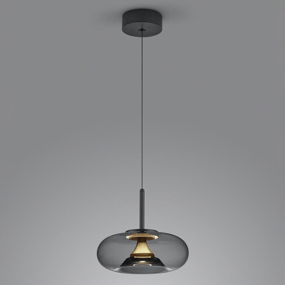 Helestra 6-5081.28