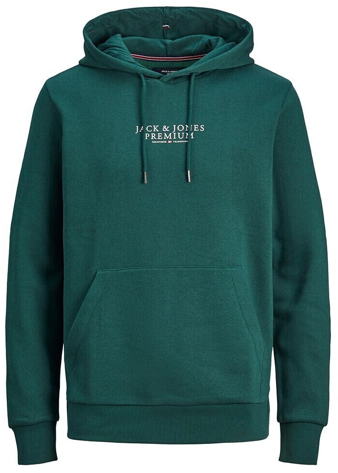 Jack & Jones Bluarchie Hoodie (12216335) green